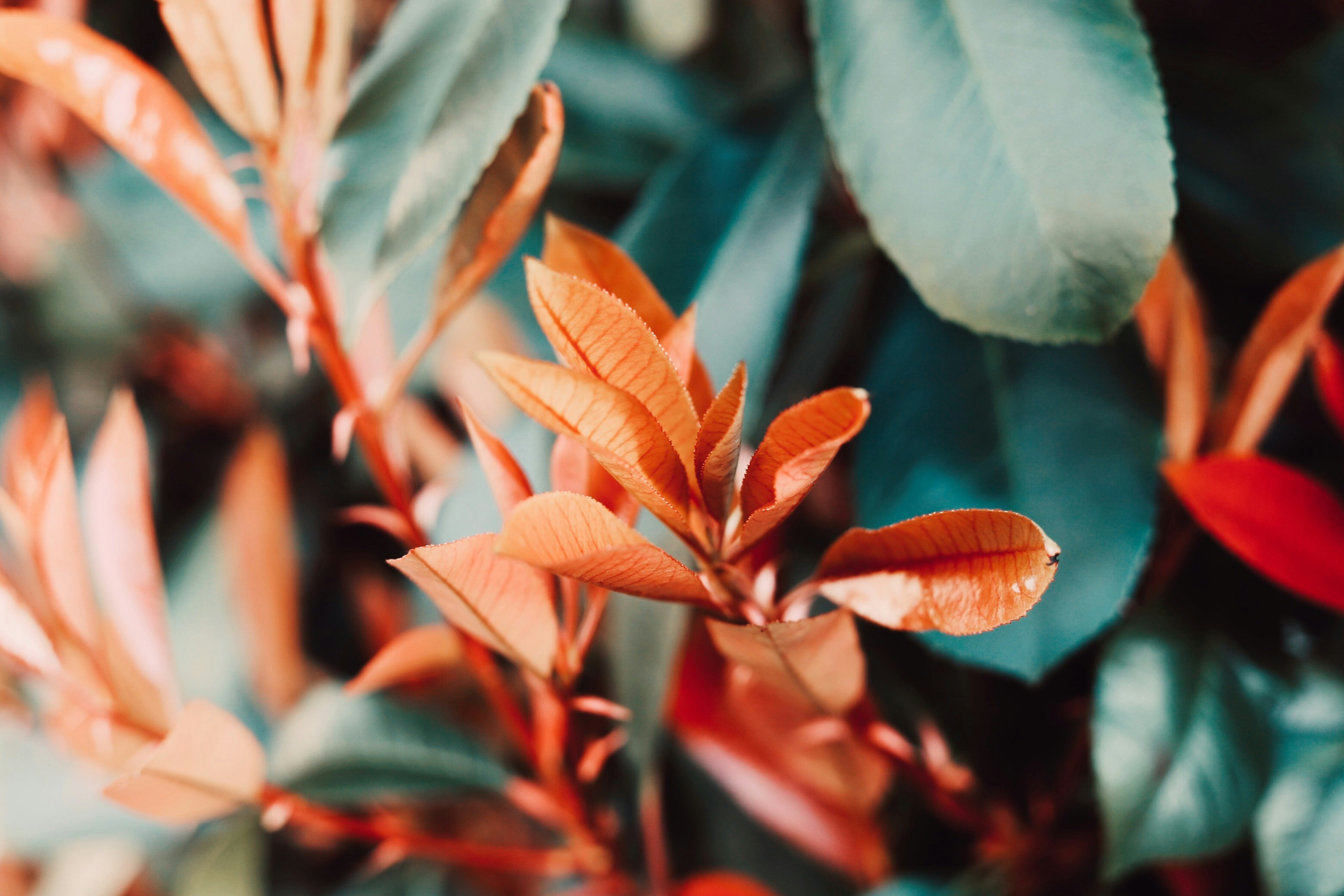 Photo by endofthat24