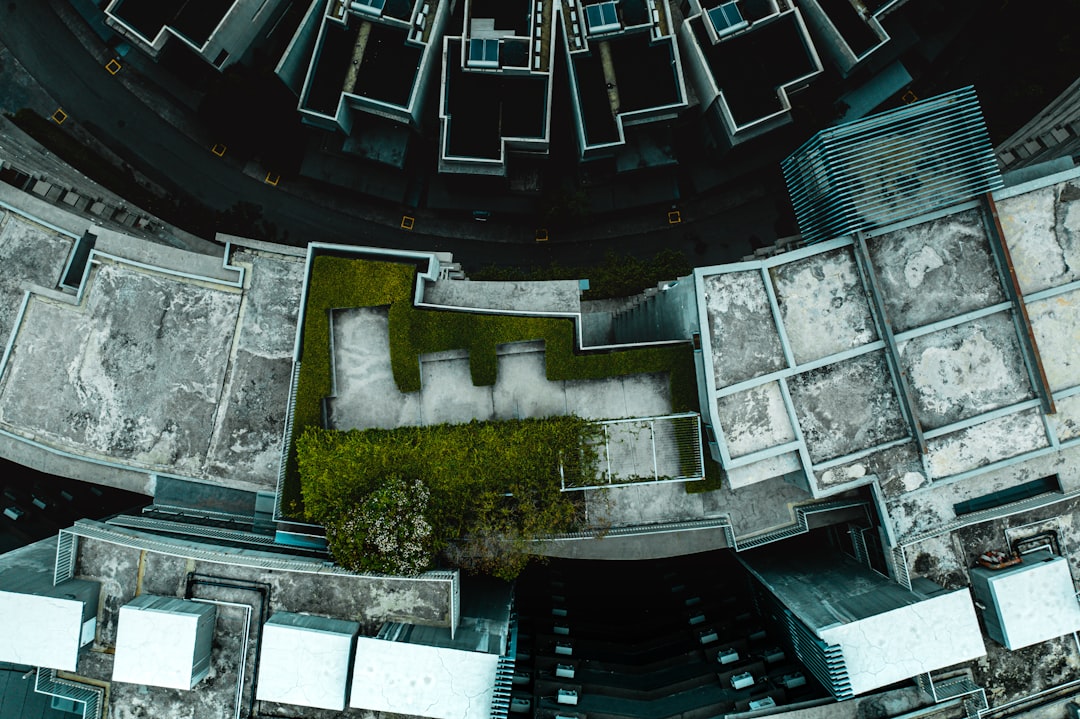 top view of green trees and gray concrete building