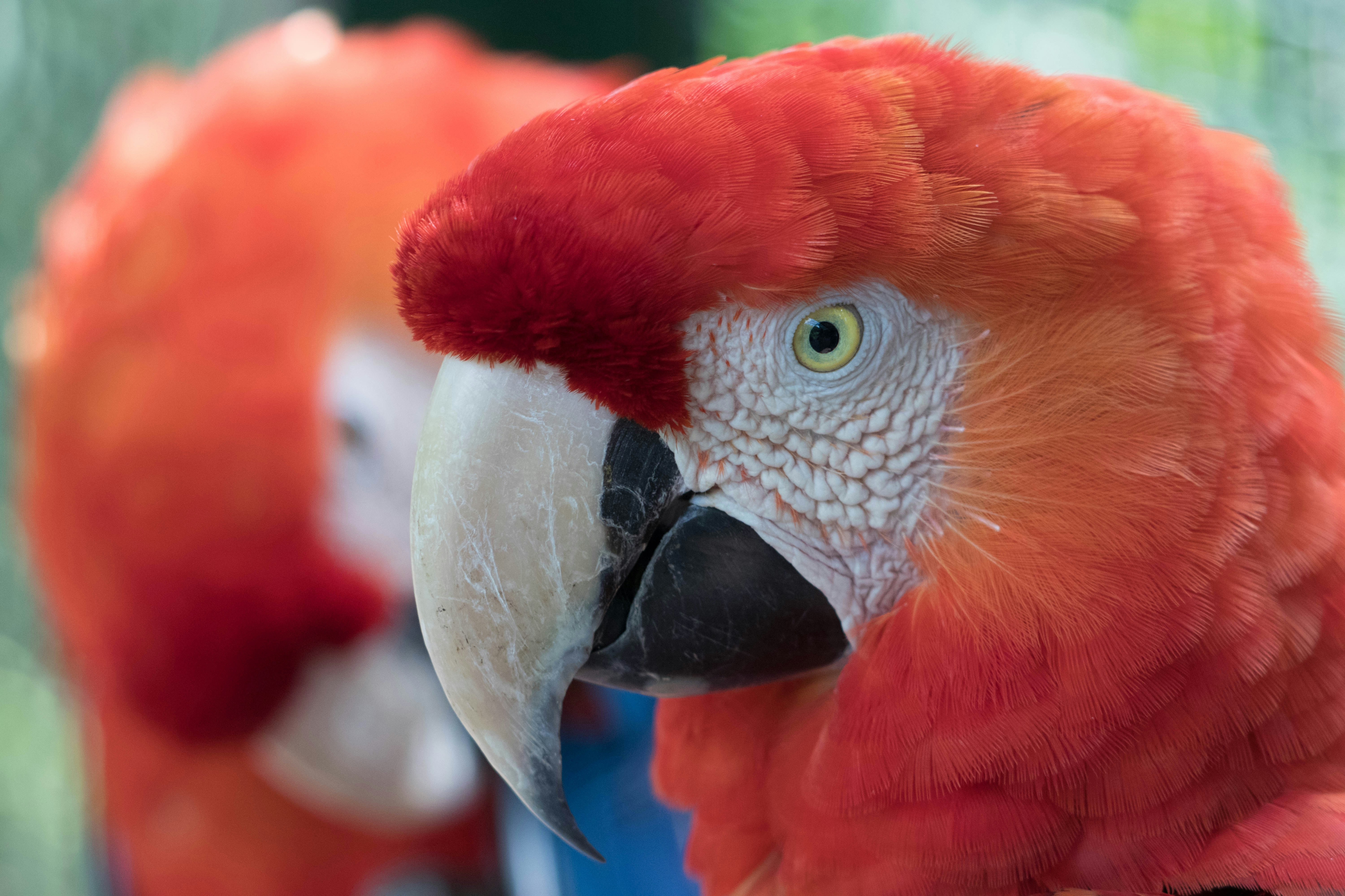 Photo by sonianadales