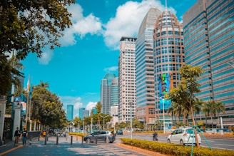 cars parked on side of road near high rise buildings during daytime