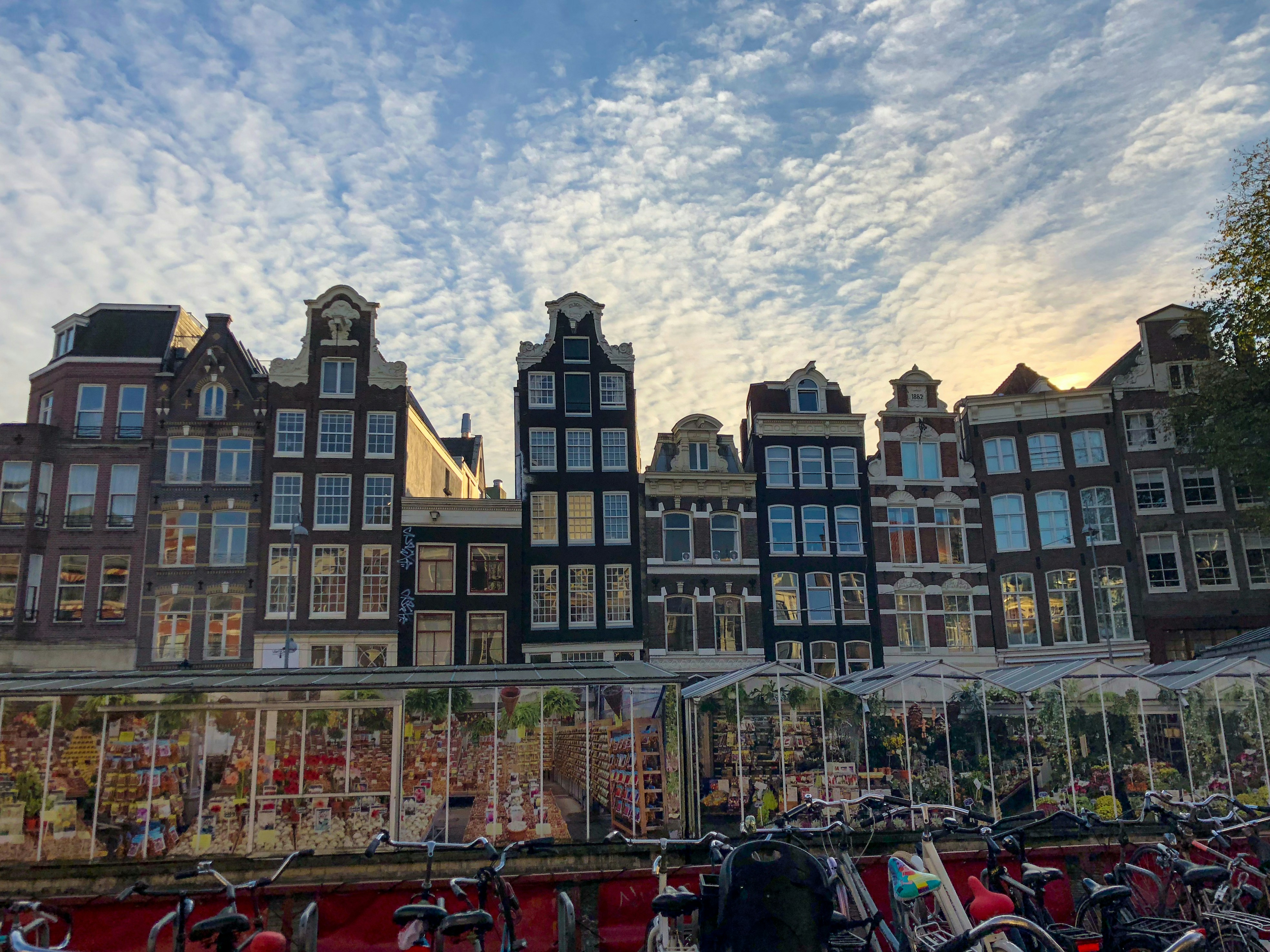 Hollanda'da modern bir ofis ortamında çalışan IT profesyoneli ve Avrupa'daki teknoloji kariyer fırsatlarını temsil eden teknolojik çalışma alanı.