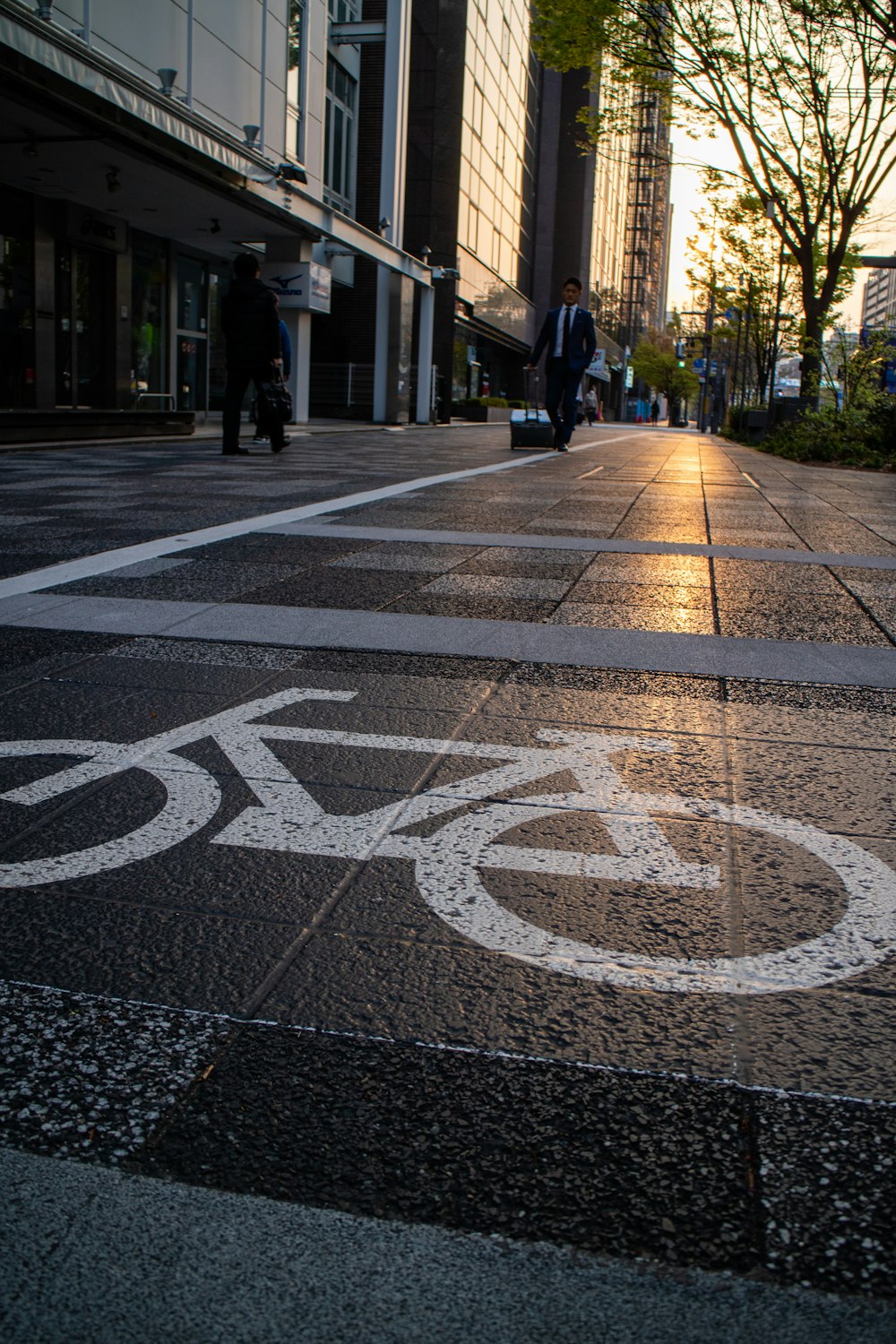 people walking on pedestrian lane during daytime