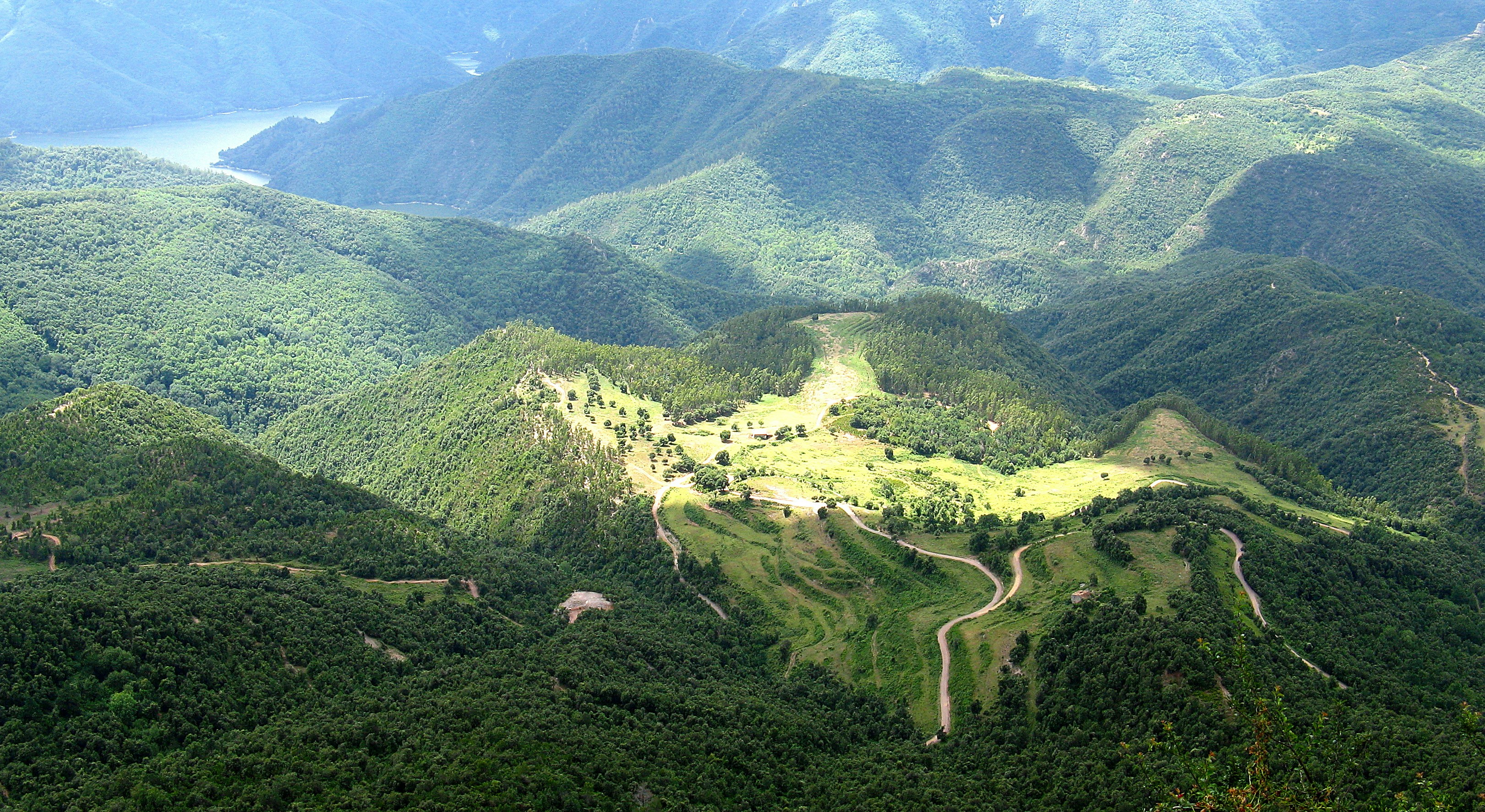 Photo by arozwadowska