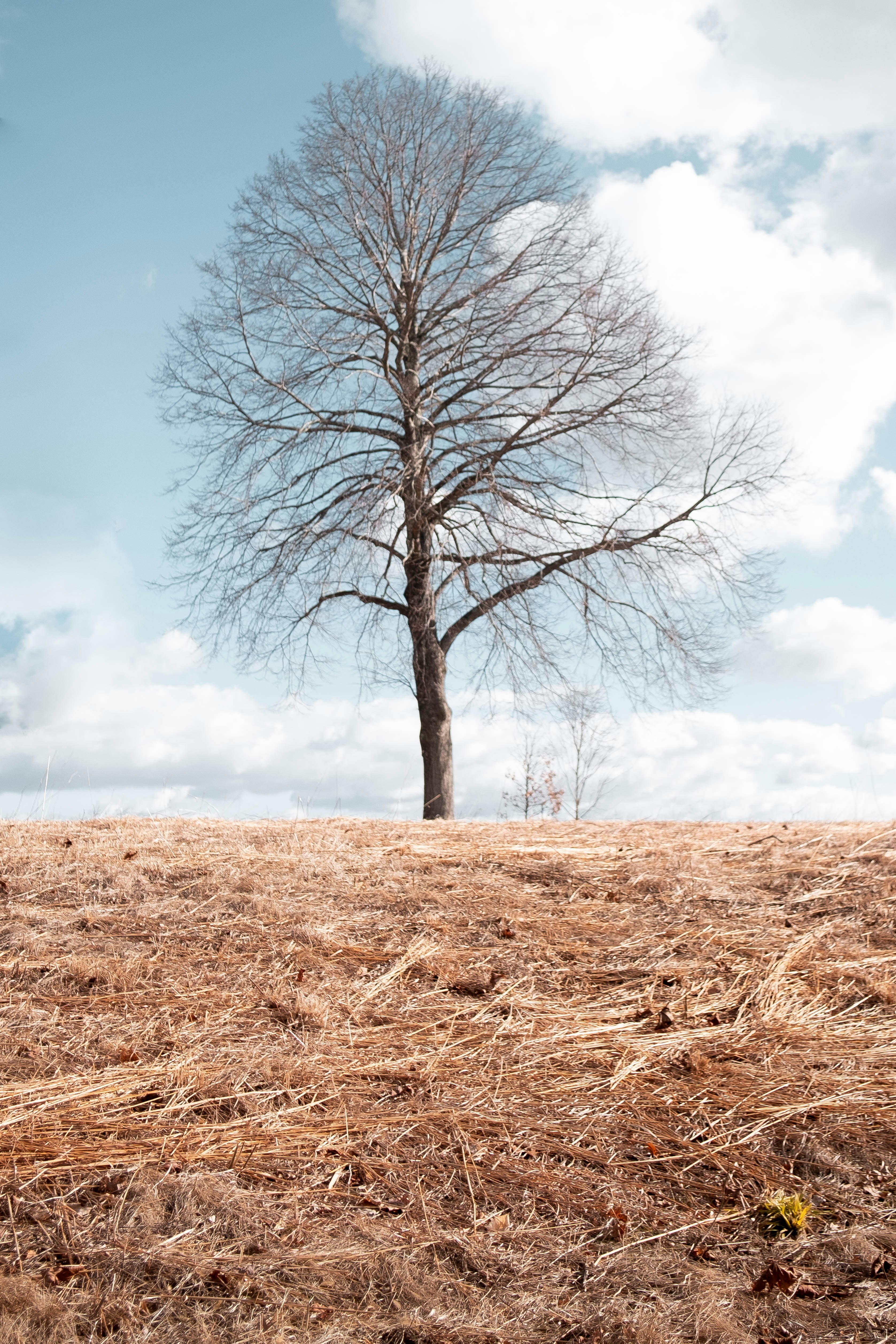 Photo by davidgaviphoto