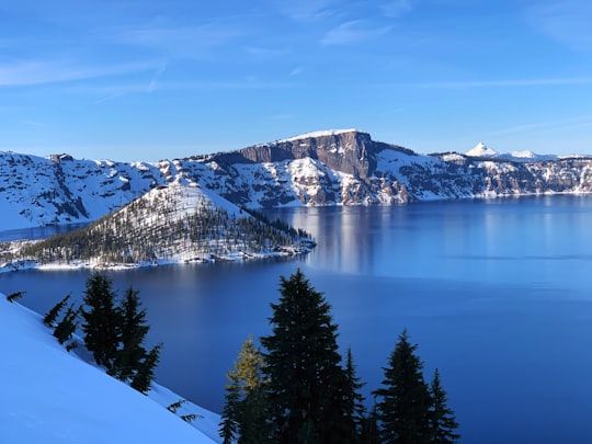 green pine trees near snow covered mountain during daytime in Crater Lake National Park United States