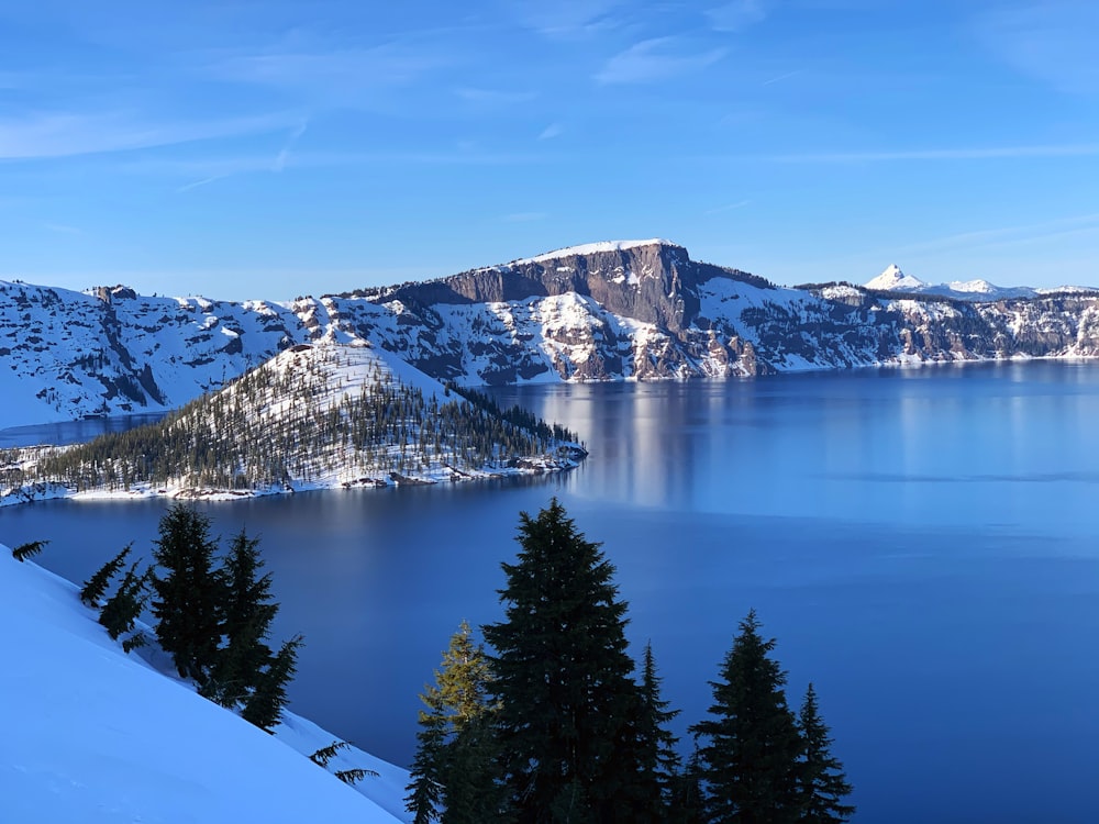 Grüne Kiefern in der Nähe des schneebedeckten Berges während des Tages