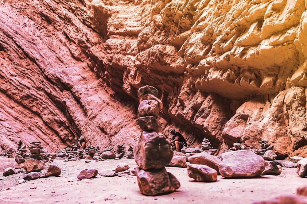 brown rock formation on brown sand during daytime