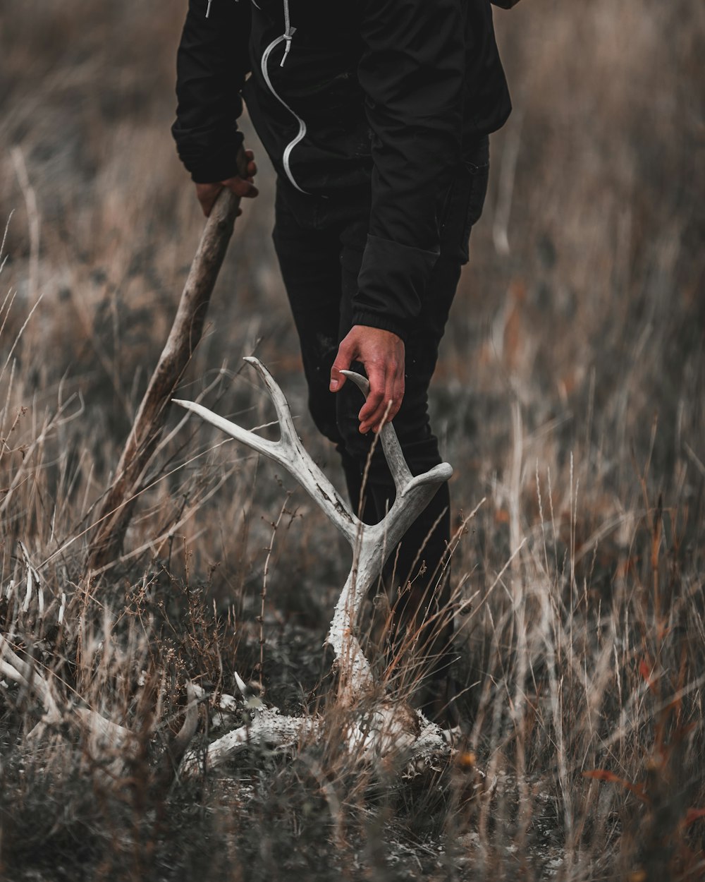 Person in schwarzer Jacke mit braunem Holzstab