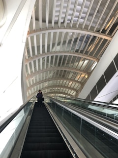 A modern architectural space with a person on an escalator. The ceiling features a prominent curved structure with glass and metal elements, creating a bright and open atmosphere.