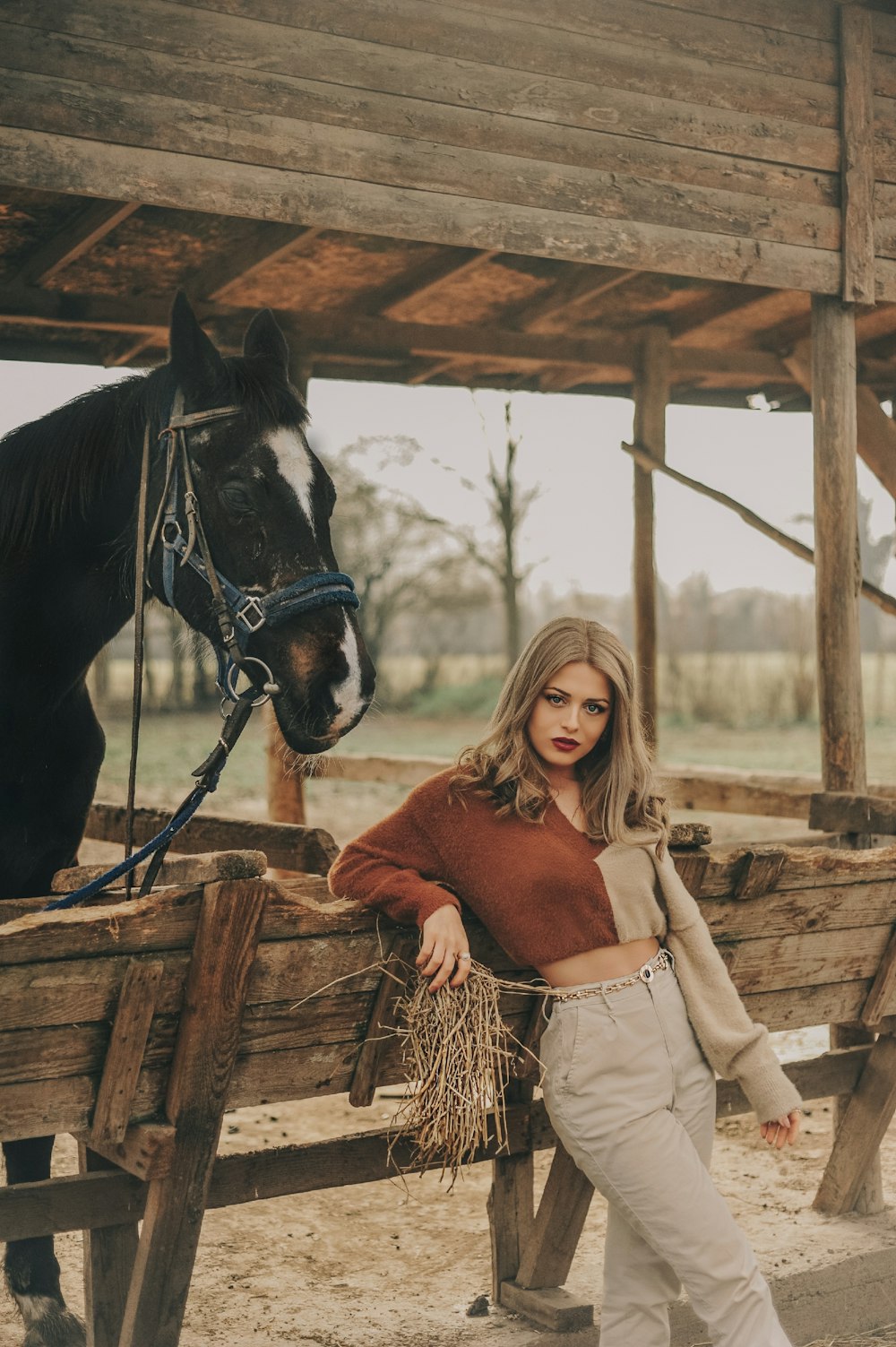 Femme en pull marron chevauchant un cheval noir
