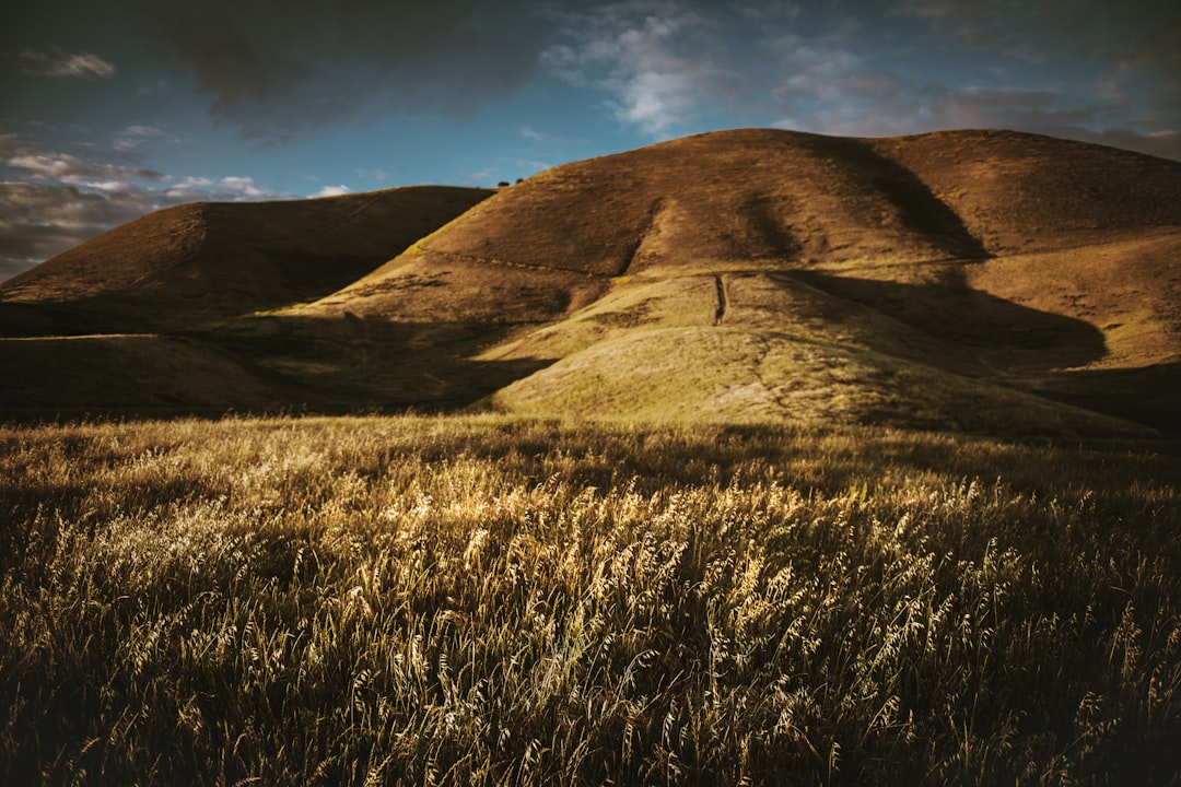 brown mountain under blue sky during daytime