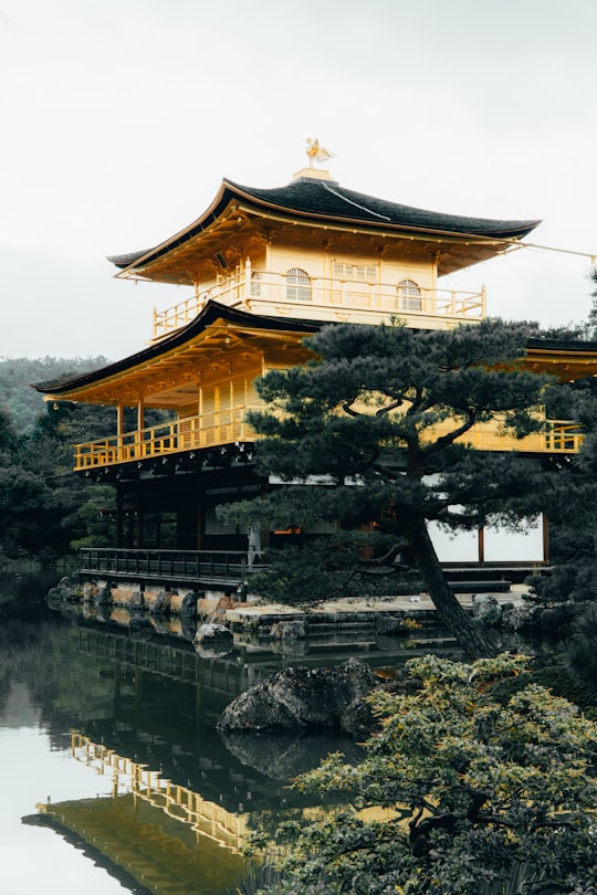 brown and white temple near river during daytime in Kinkaku-ji Japan