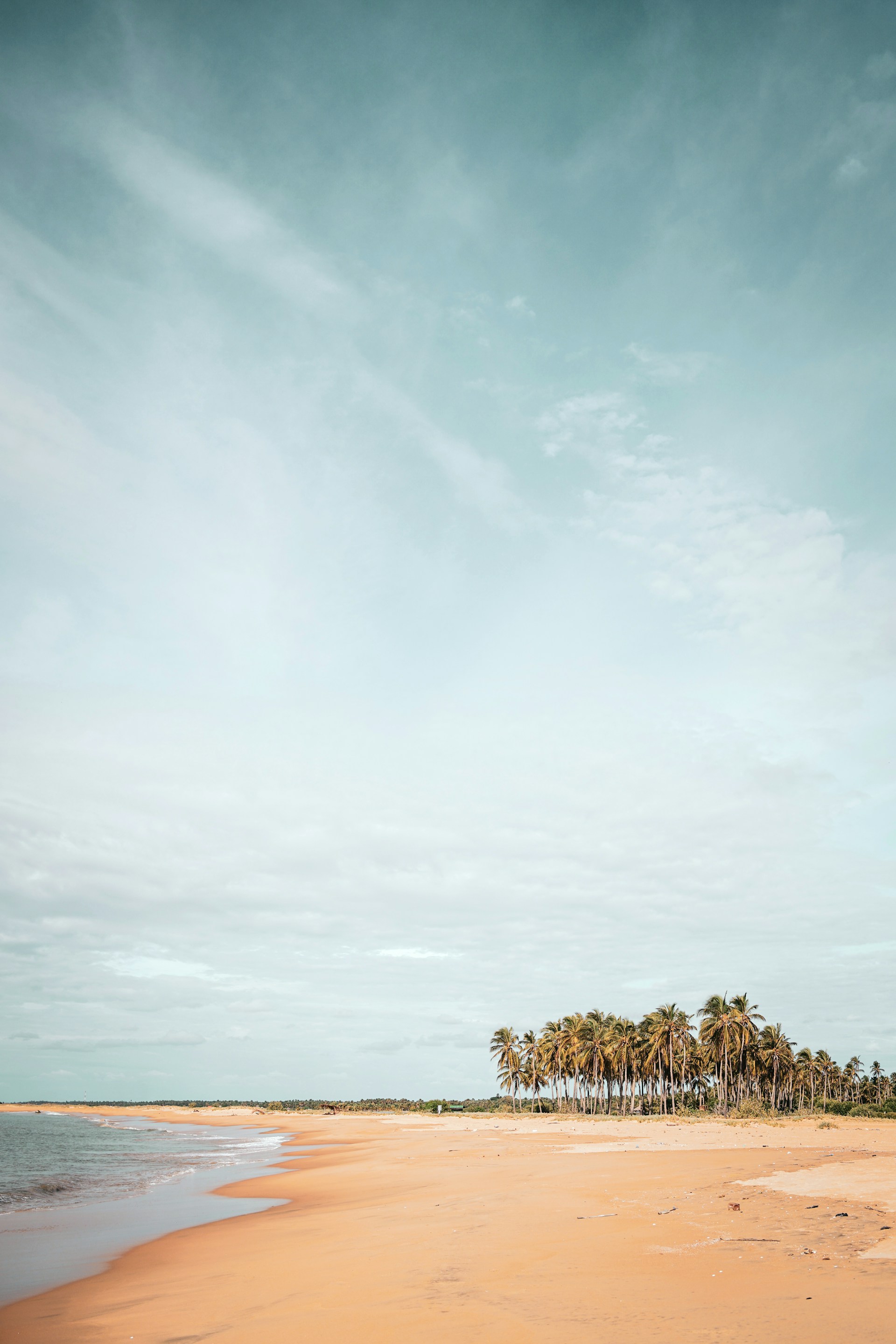 green trees under white clouds during daytime
