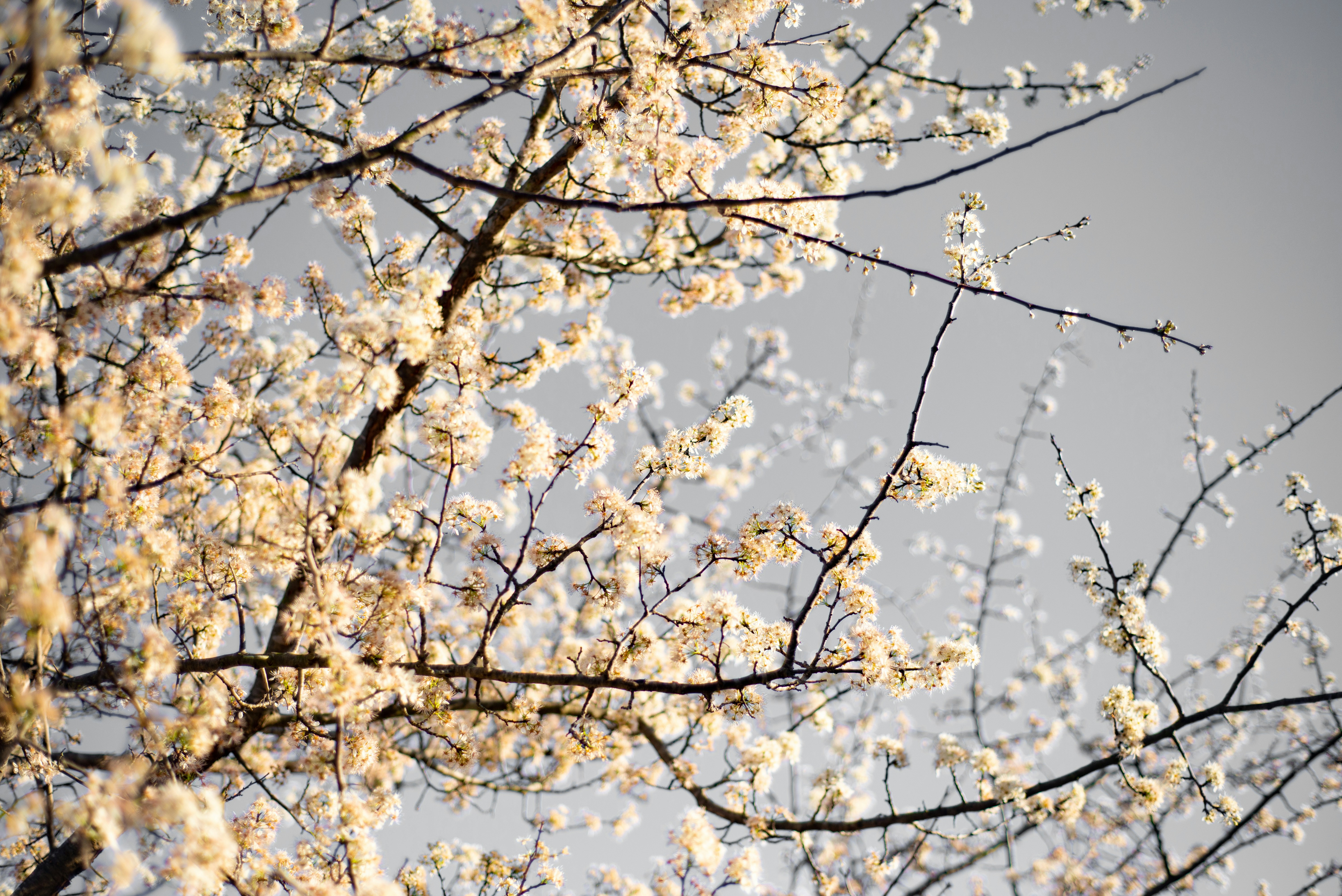 Photo by davidholifield