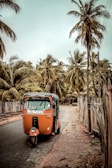 An orange auto-rickshaw is parked on a rural road lined with tall palm trees and a wooden fence. The road appears isolated and the atmosphere is calm, with the sky overcast.