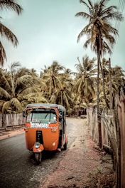 An orange auto-rickshaw is parked on a rural road lined with tall palm trees and a wooden fence. The road appears isolated and the atmosphere is calm, with the sky overcast.