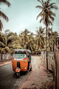 An orange auto-rickshaw is parked on a rural road lined with tall palm trees and a wooden fence. The road appears isolated and the atmosphere is calm, with the sky overcast.