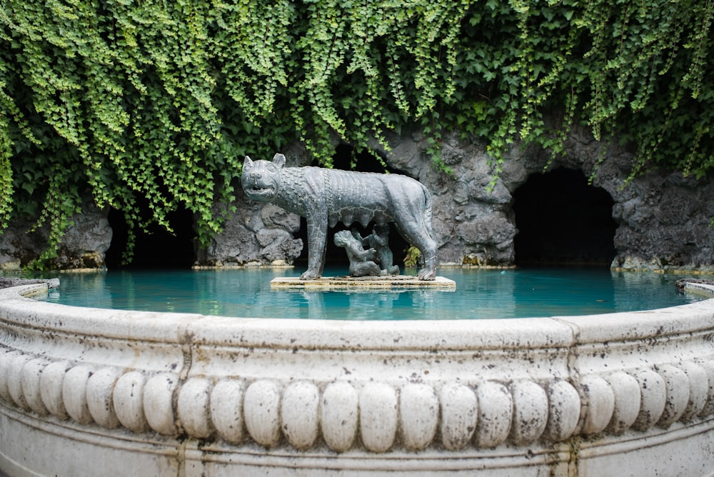 Statue d’éléphant gris sur fontaine en béton blanc