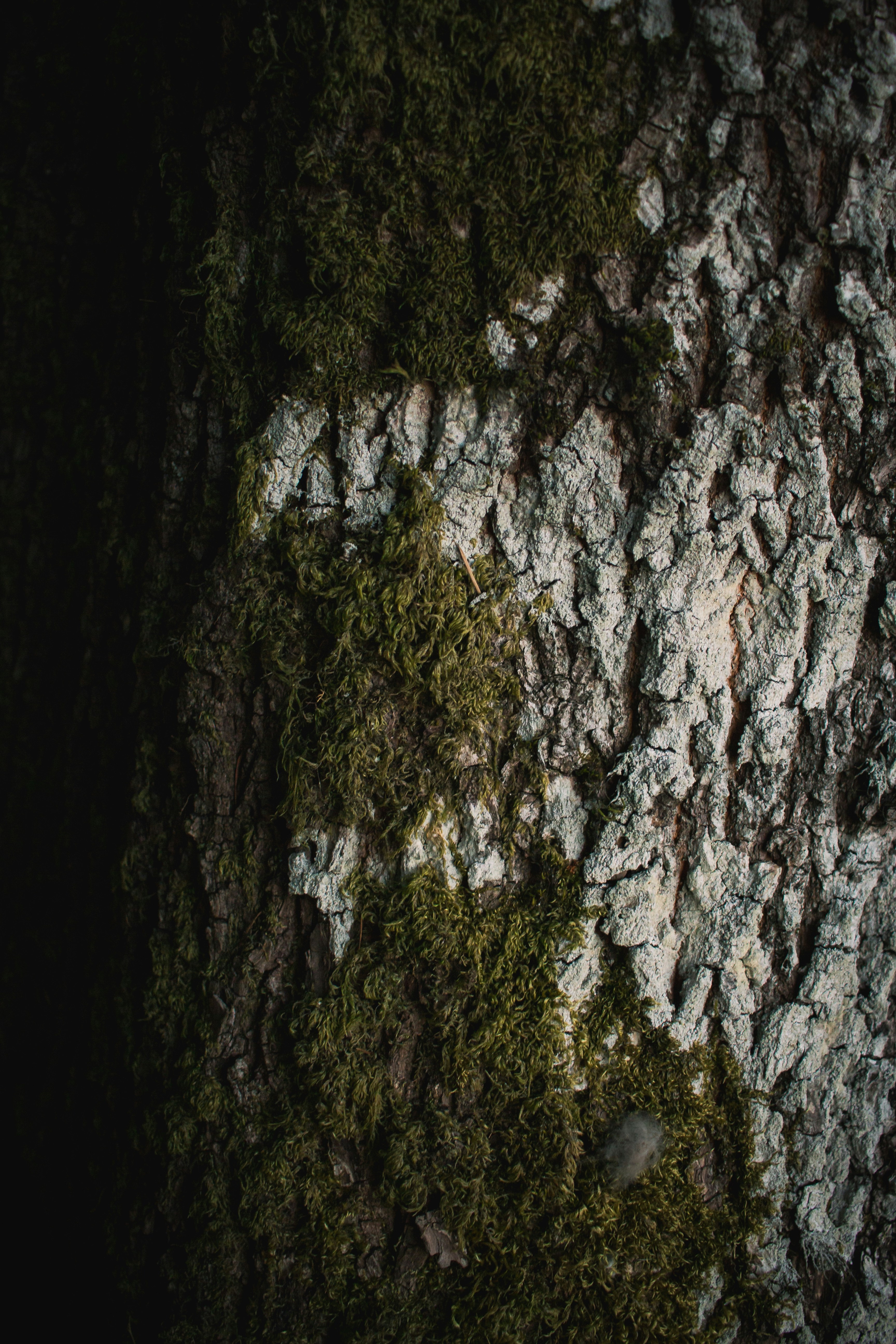 Photo by elijahdhiett