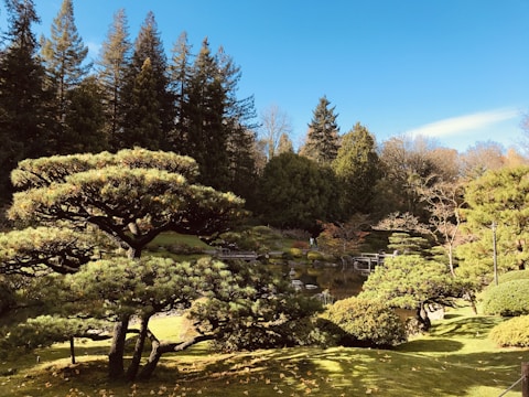 A serene garden space free from pests.