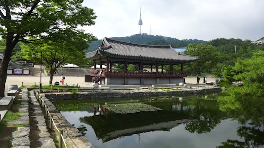 brown and white wooden house near body of water during daytime in Namsangol Hanok Village South Korea