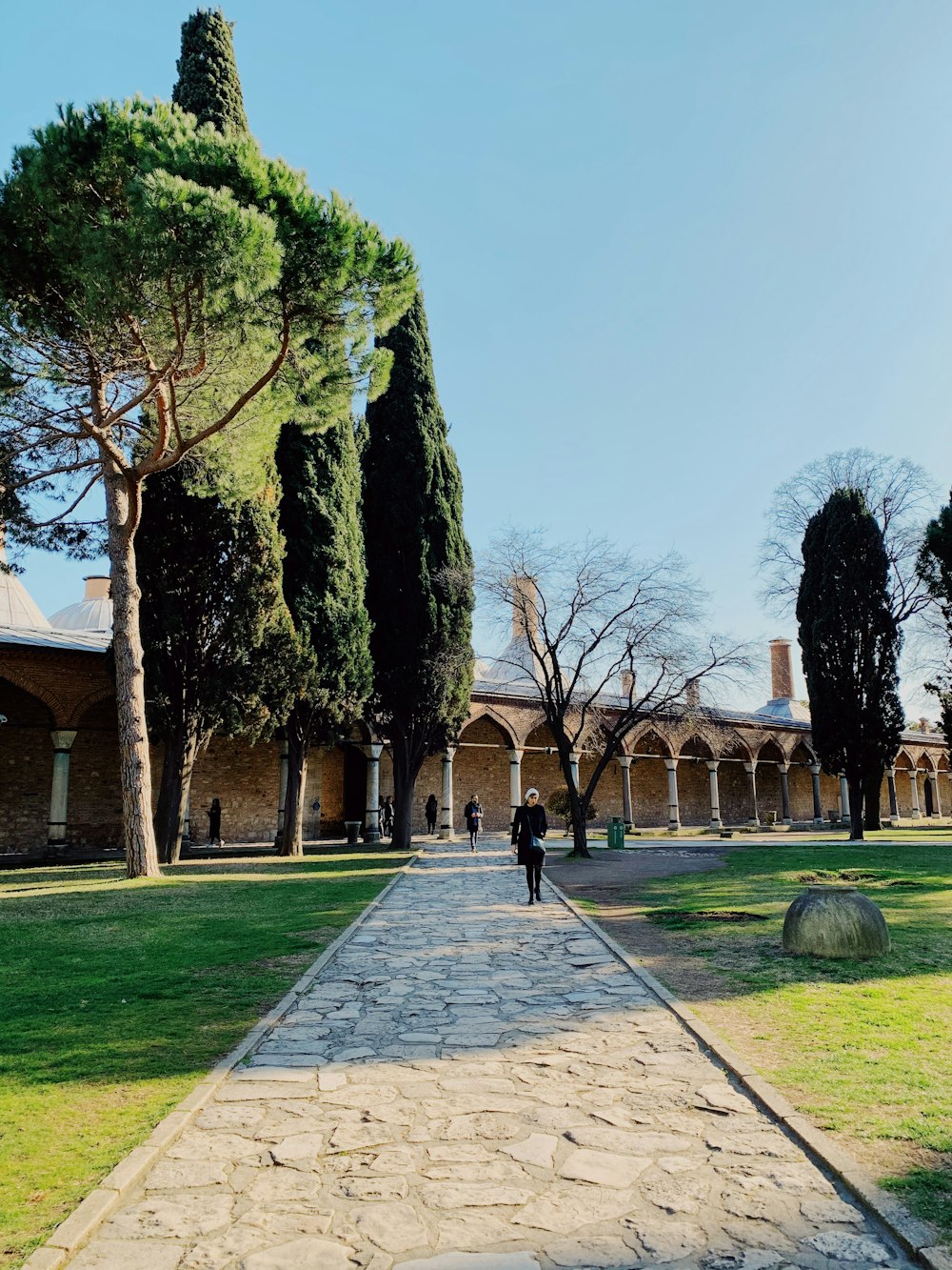 person walking on sidewalk near trees during daytime