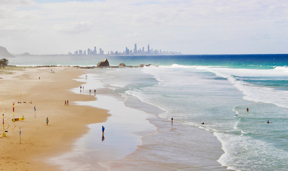 people on beach during daytime