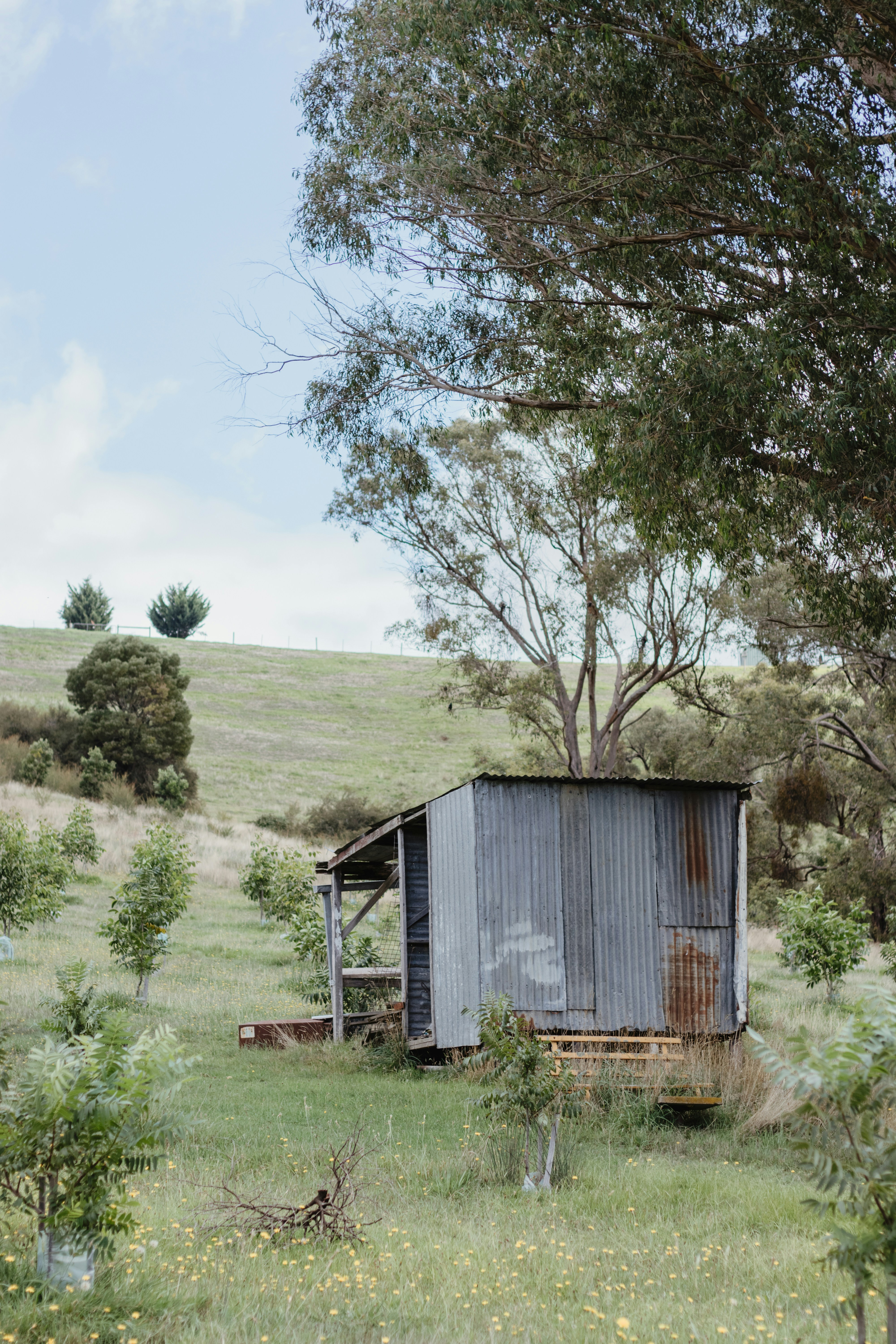 brown wooden house near green grass field during daytime