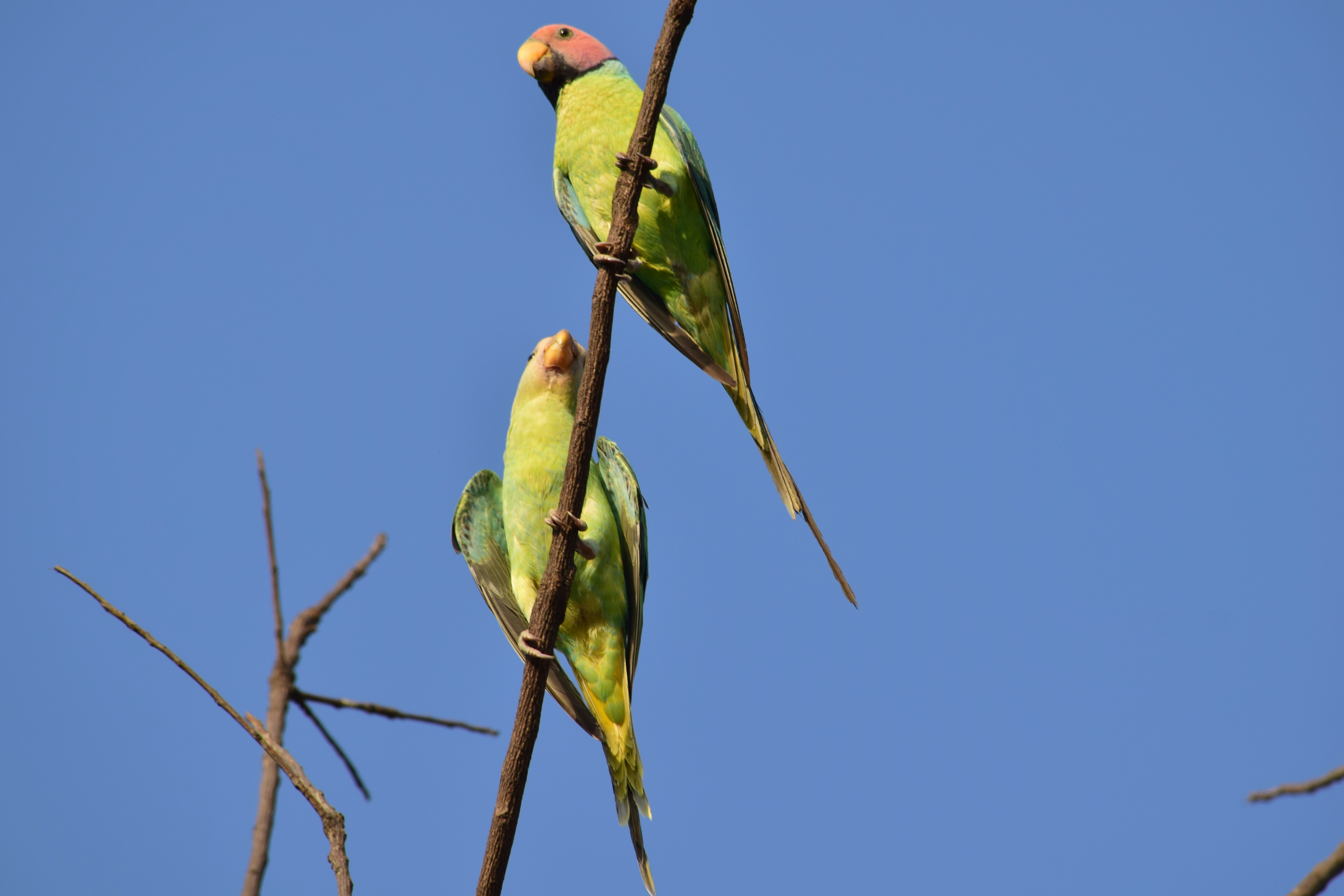 Photo by rrajputphotography