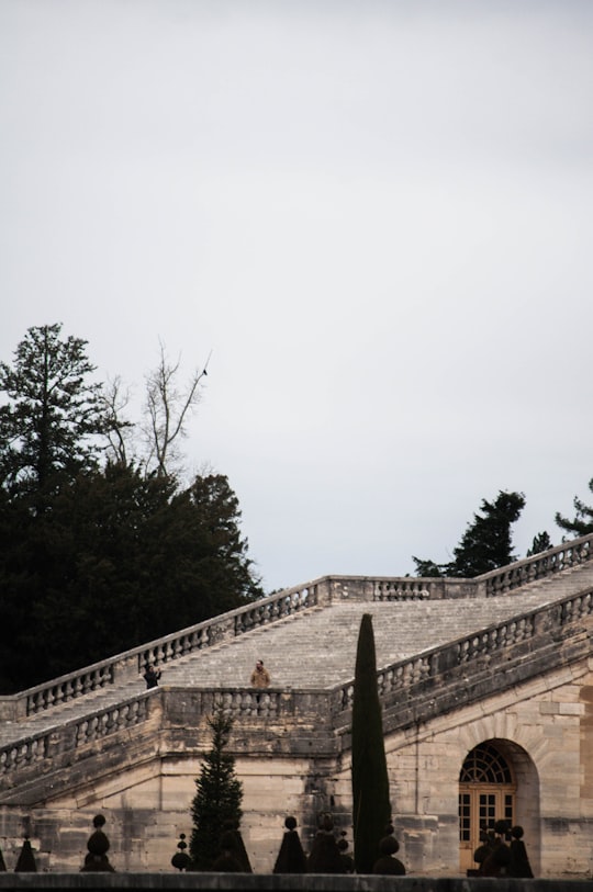 green trees under white sky during daytime in Château de Versailles France