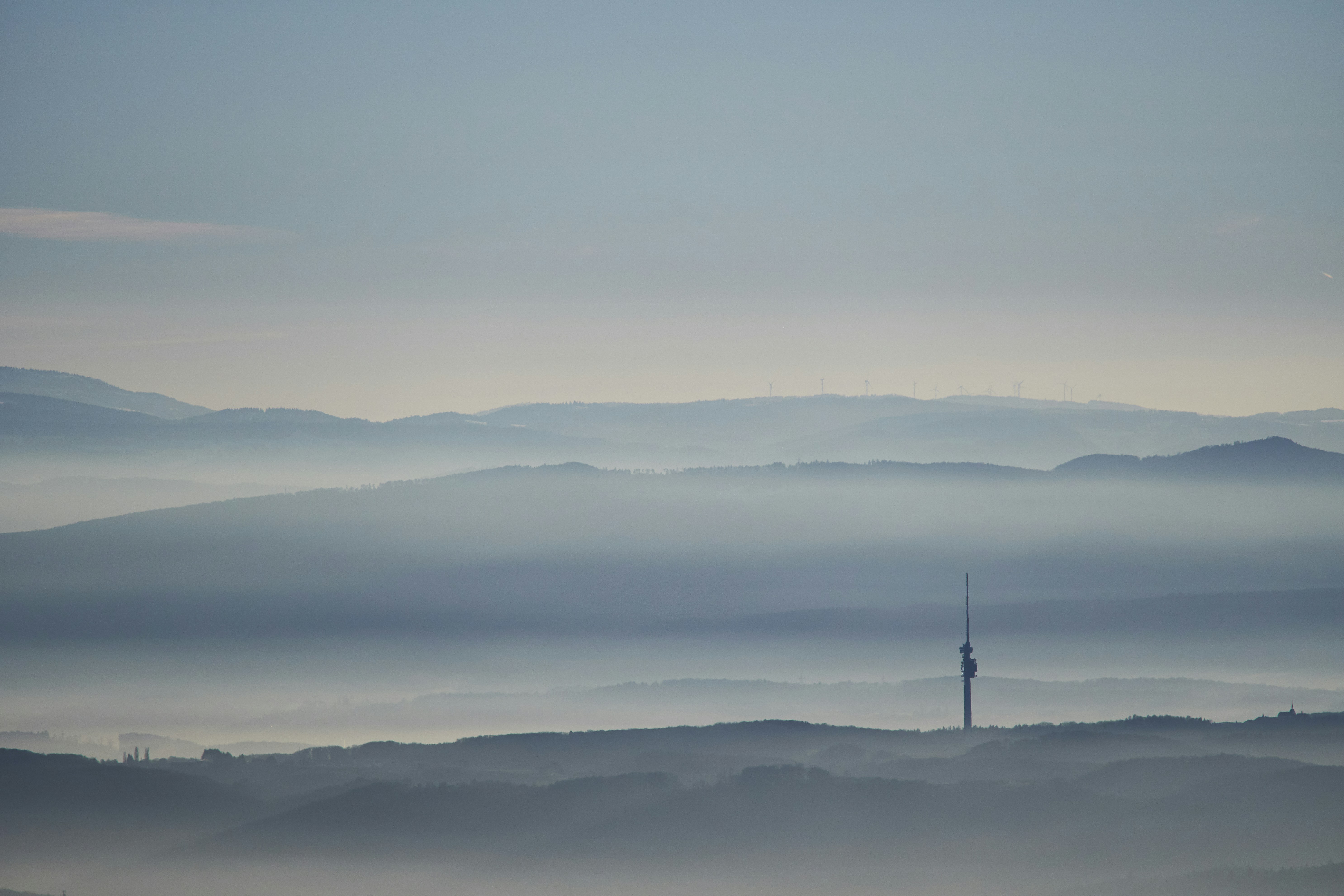 Photo by wolfgang_hasselmann