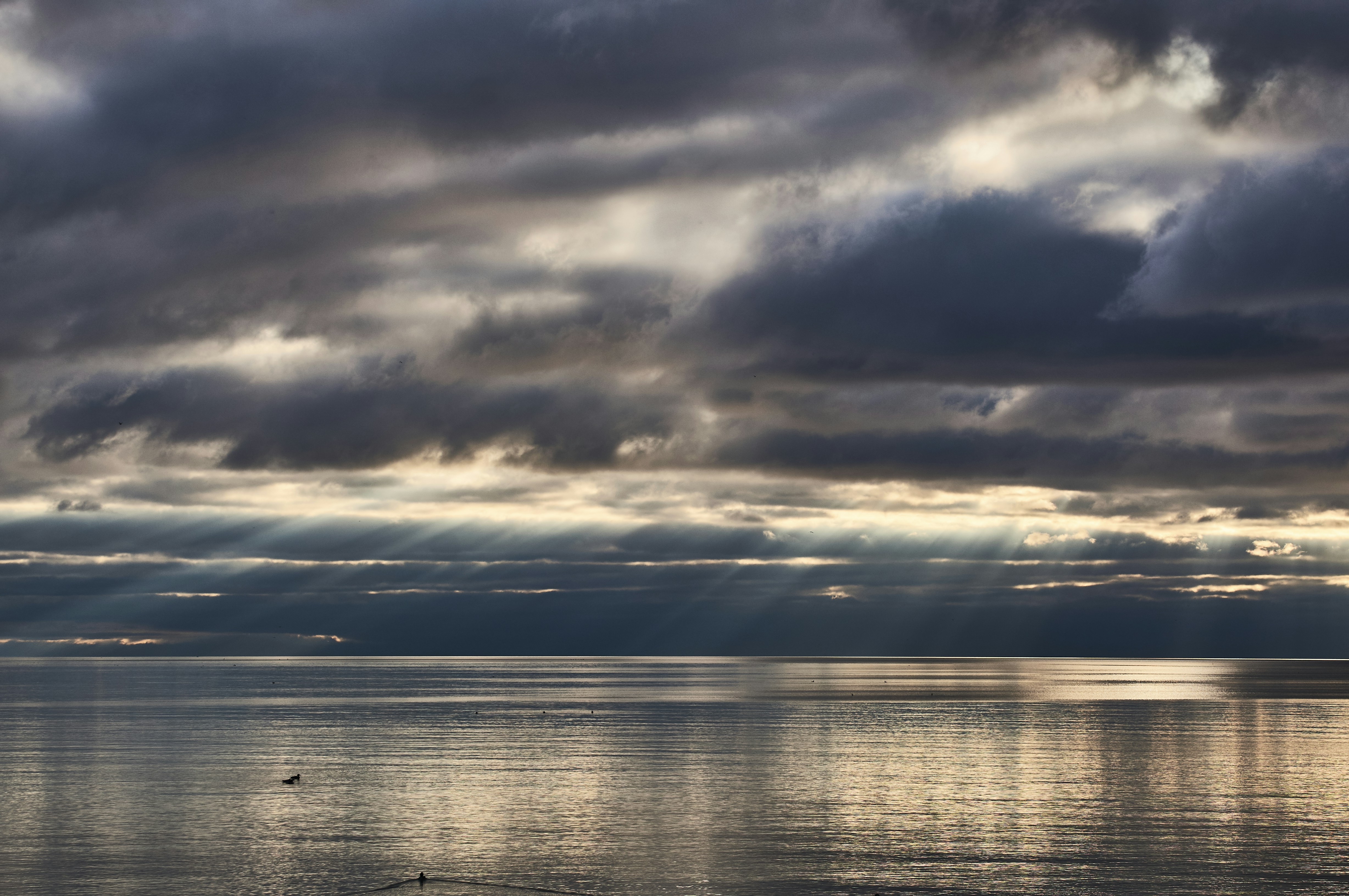 Photo by wolfgang_hasselmann