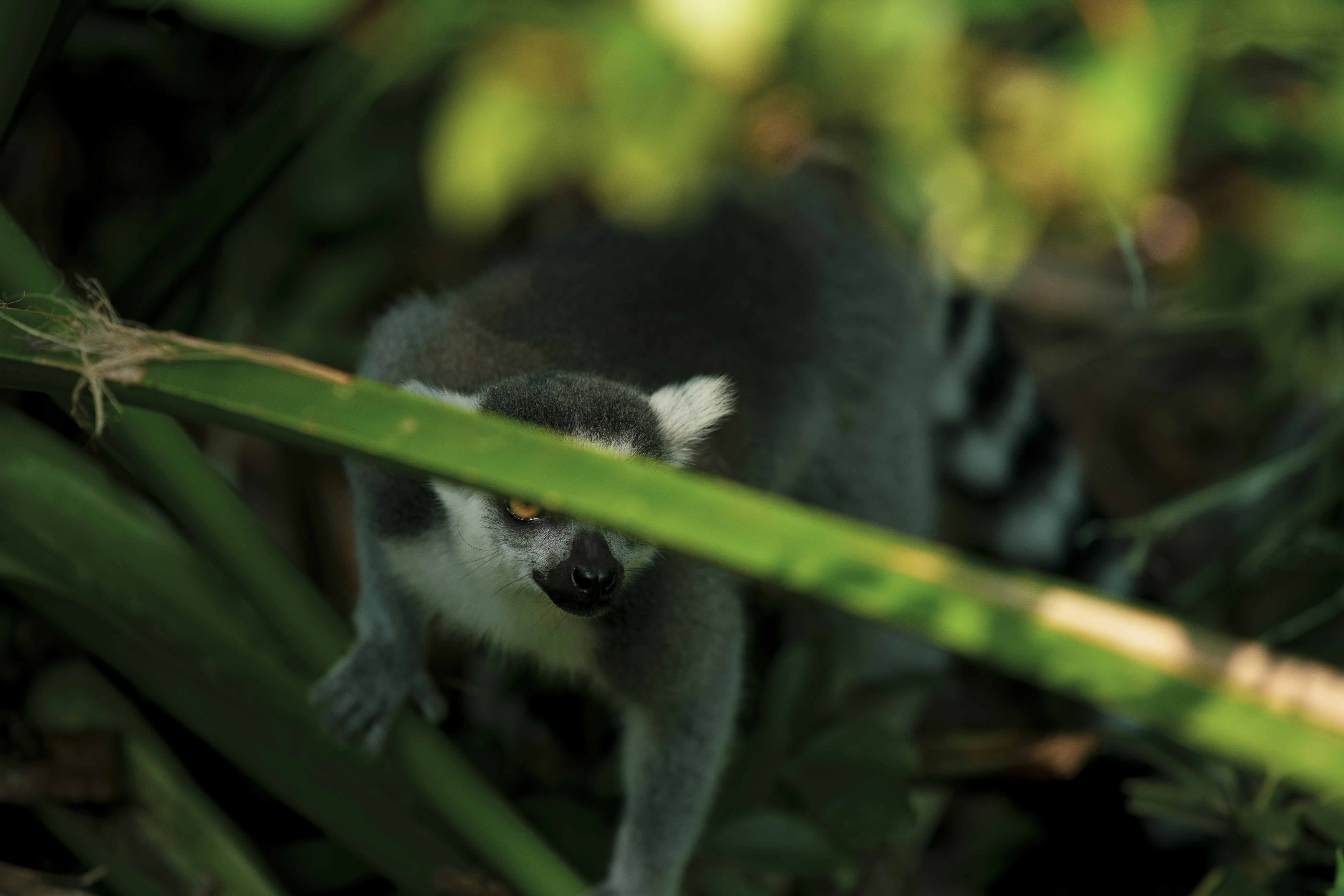 Photo by maybeimdreaming