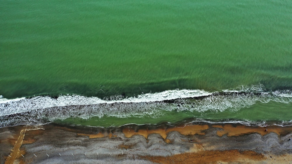 green and brown water waves