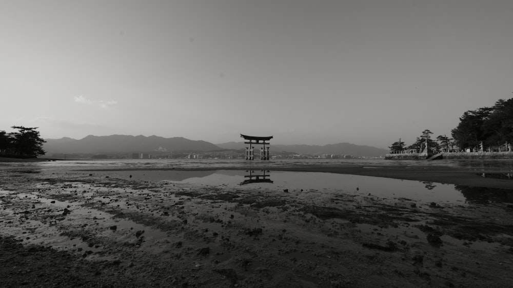 brown wooden tower on green grass field near body of water during daytime