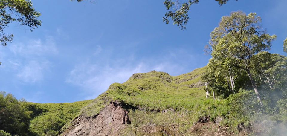 The image depicts a serene mountain landscape with a lush green hillside and trees on either side, creating a sense of depth and perspective. The sky above is a clear blue, providing a beautiful backdrop to the scene. The photo appears to have been taken from a low angle, looking up at the mountainside, which enhances their grandeur and majesty.