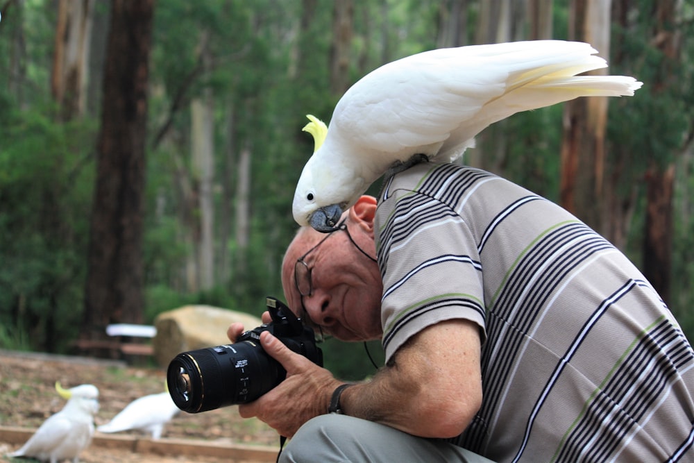 Homme en polo rayé blanc et marron tenant un oiseau noir et blanc