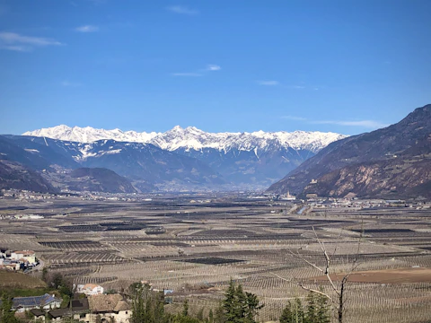 Wide green plots of land in Codegua with mountains in the background.