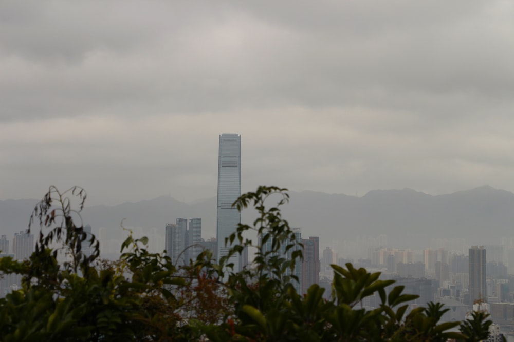 green trees near city buildings during daytime