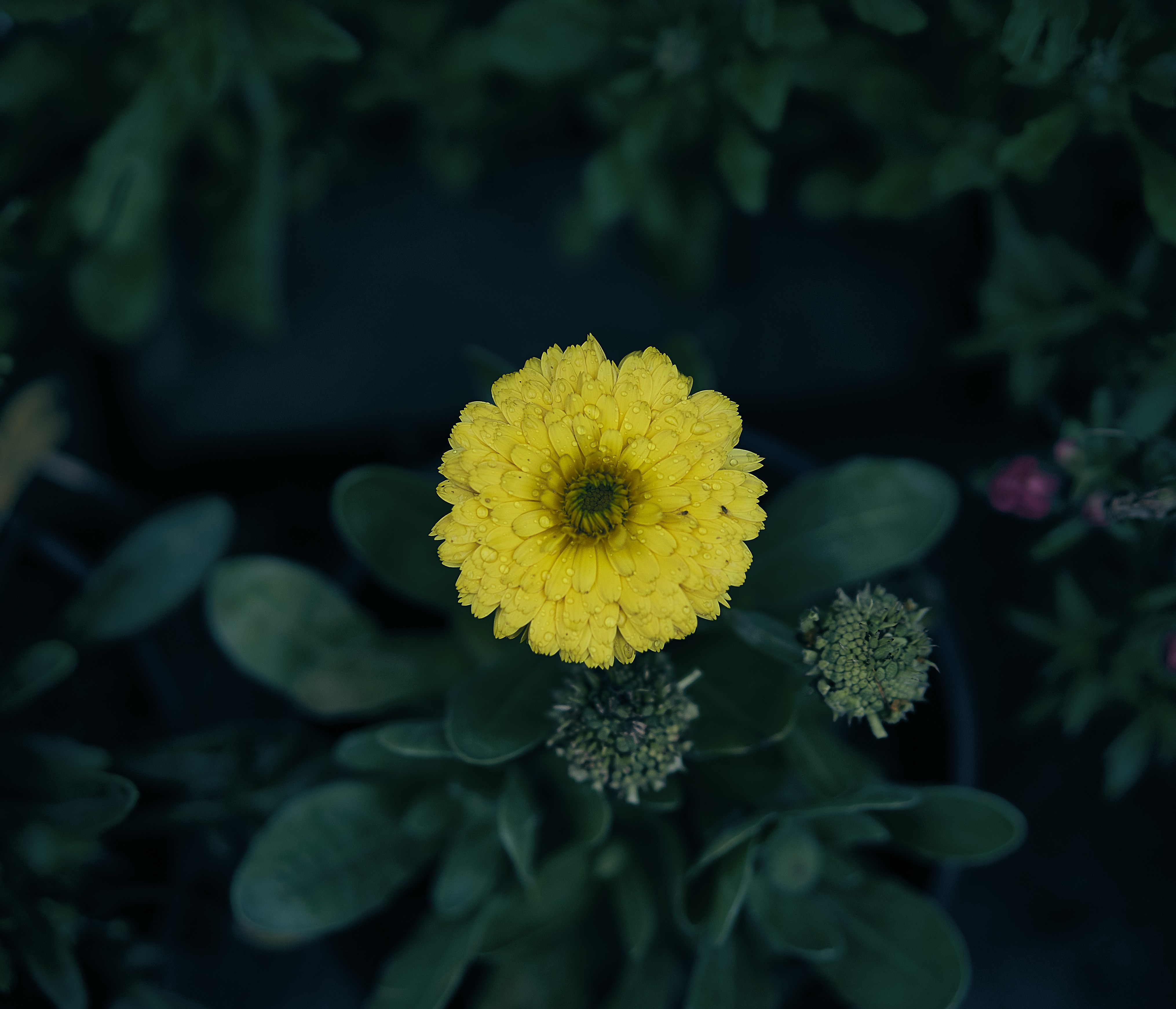 Photo by suicide_chewbacca