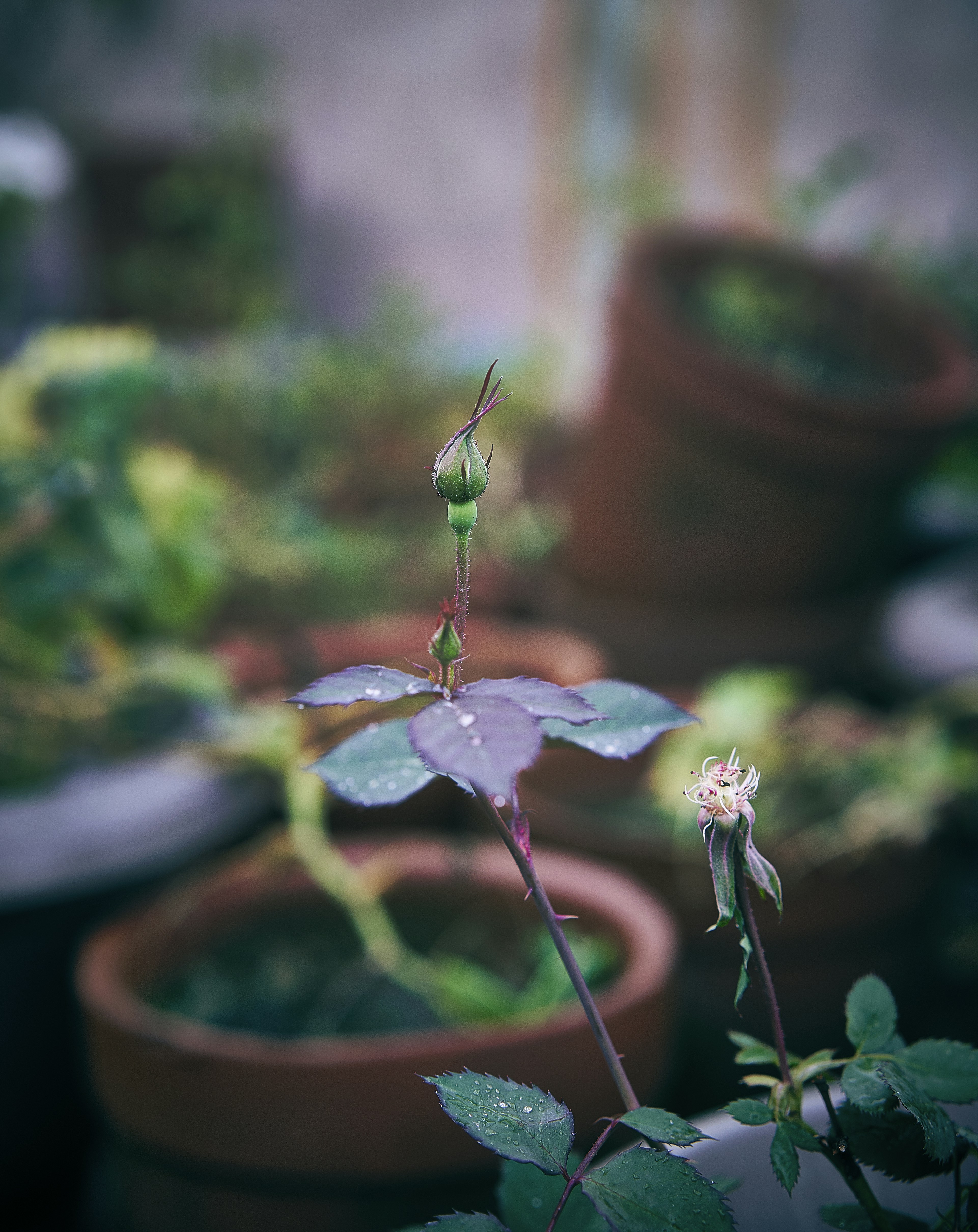 Photograph by Ashwini Chaudhary