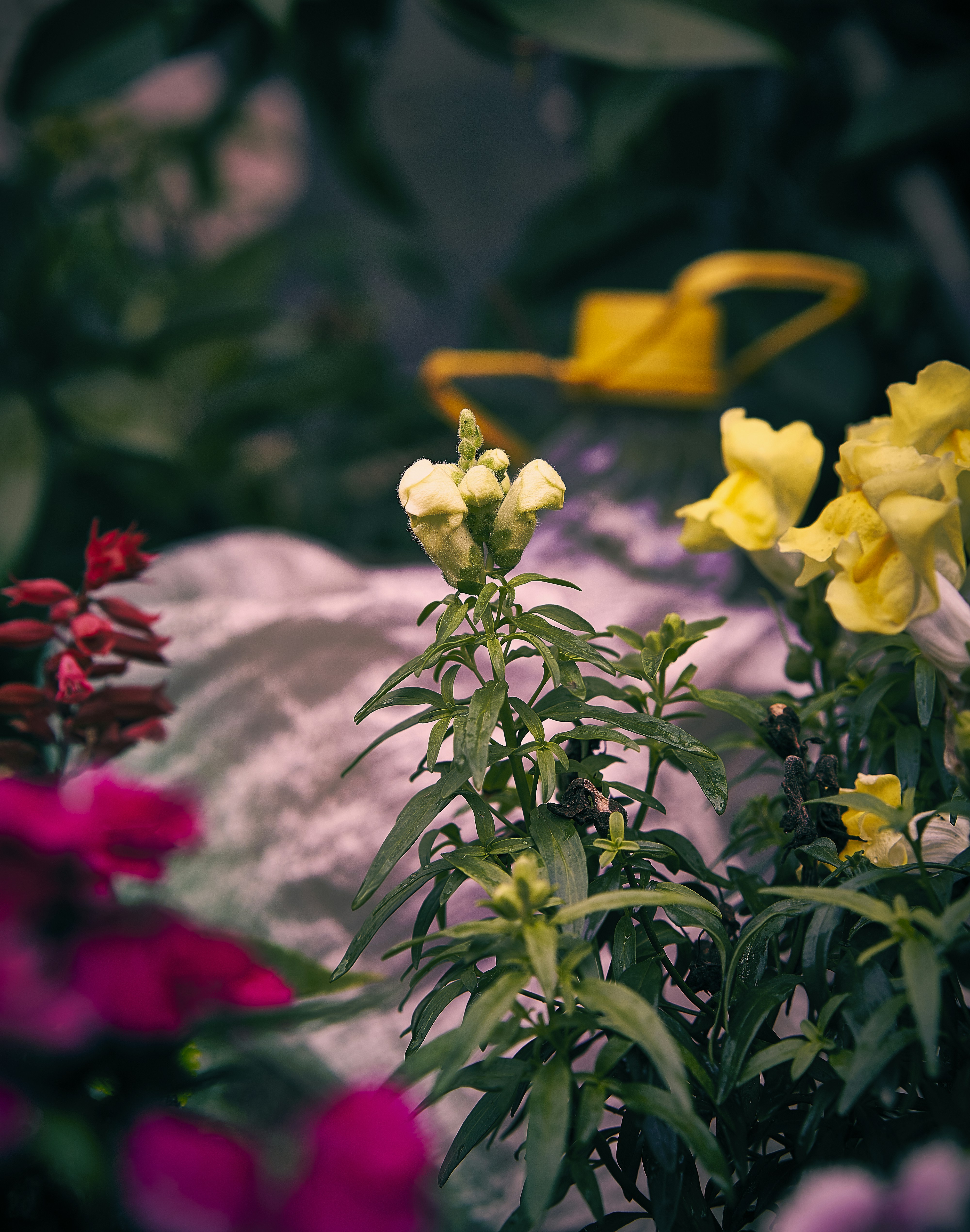 Photograph by Ashwini Chaudhary