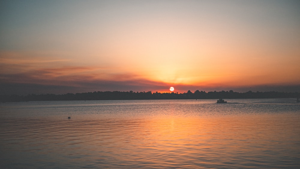 silhueta de árvores perto do corpo de água durante o pôr do sol