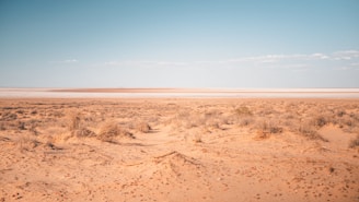 brown sand under blue sky during daytime