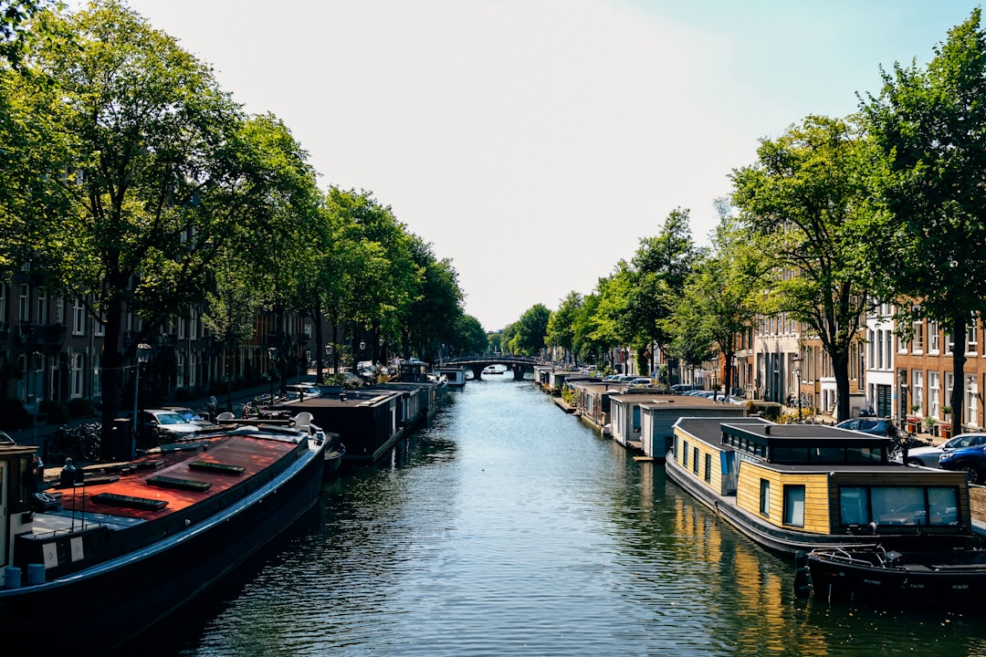 boat on river near trees during daytime