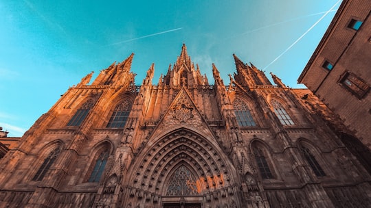 brown and gray concrete building under blue sky during daytime in Cathedral of Barcelona Spain