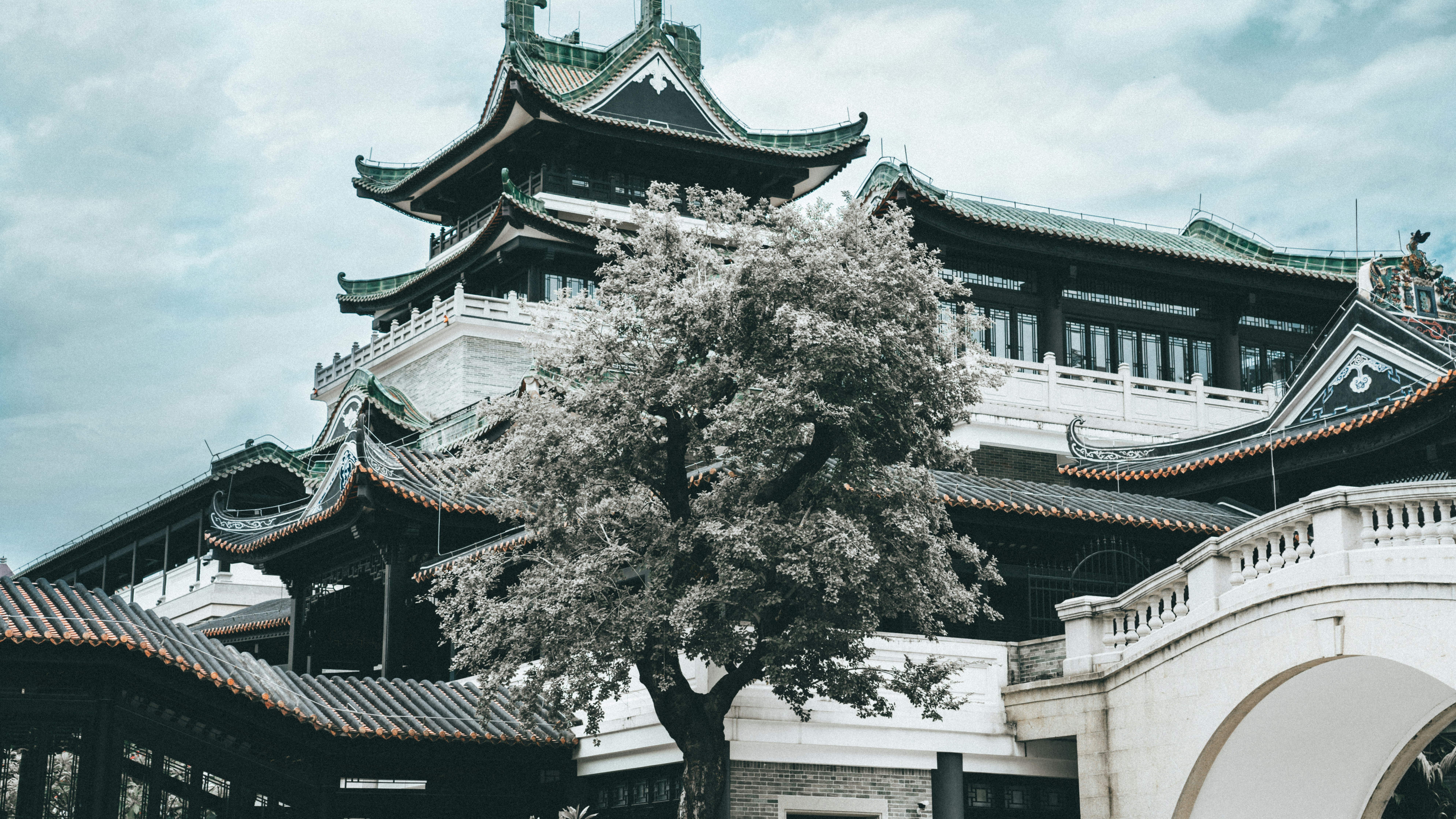 Photo by cshong