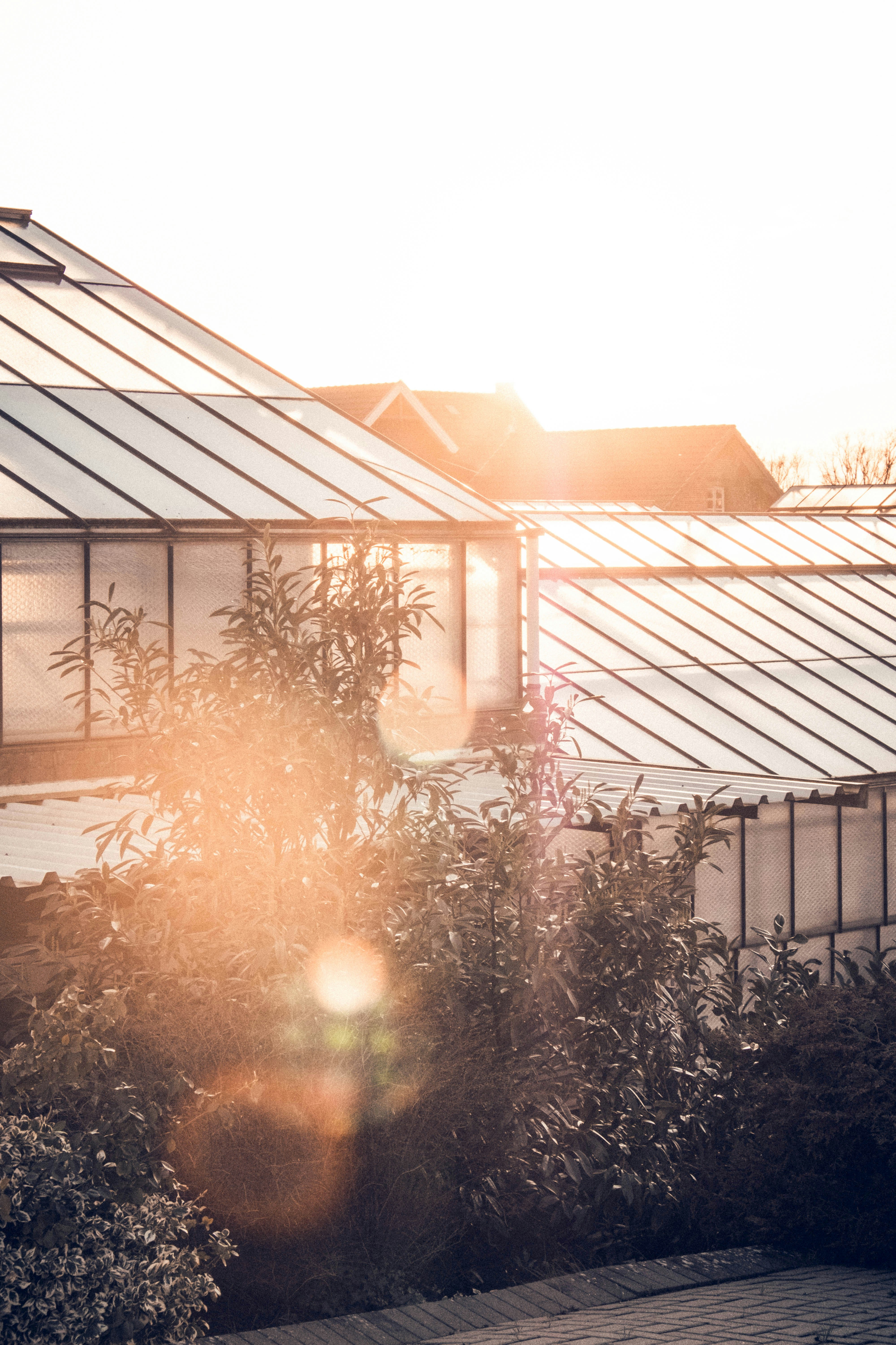 Photo by moritz_photography