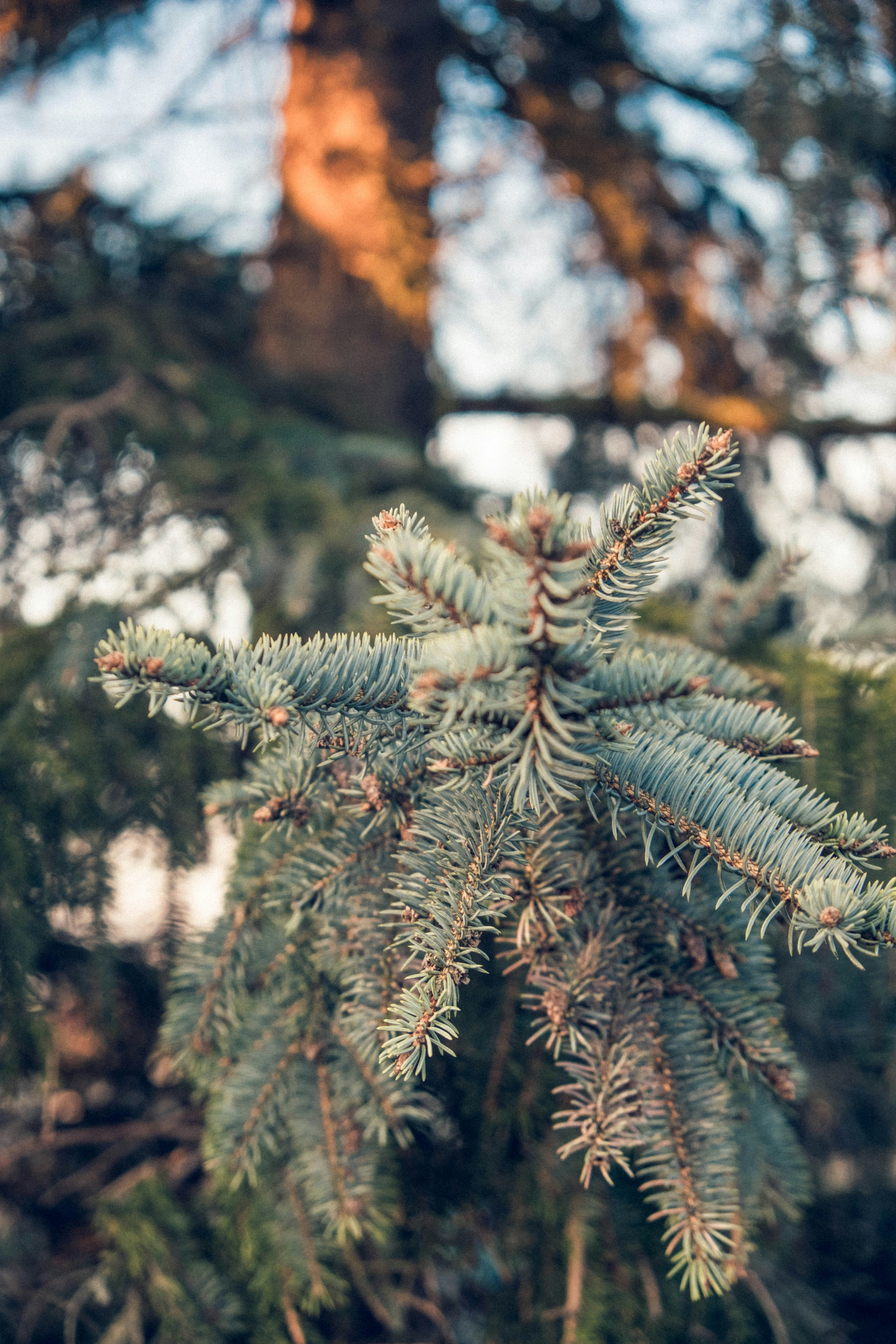 Photo by moritz_photography