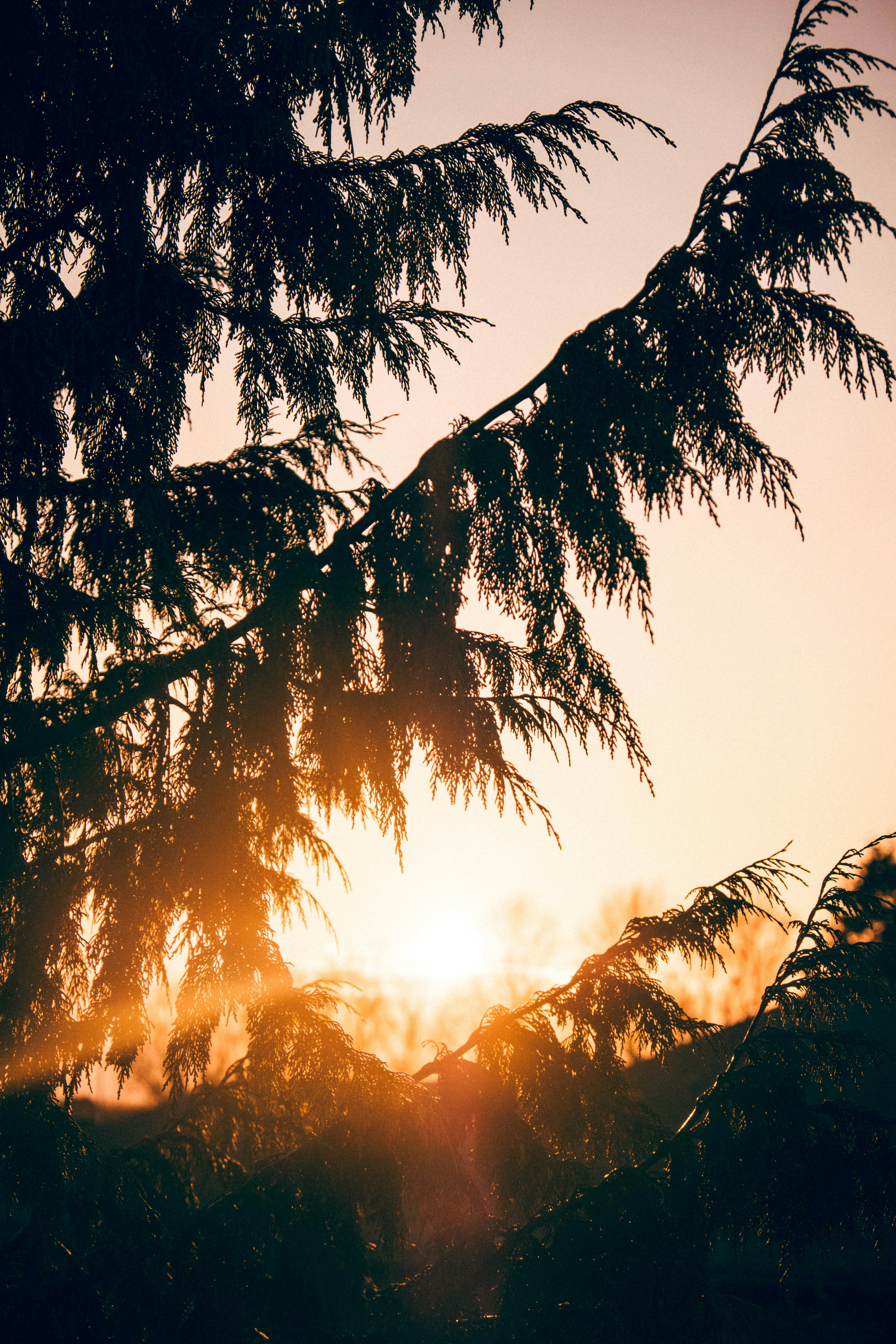 Photo by moritz_photography